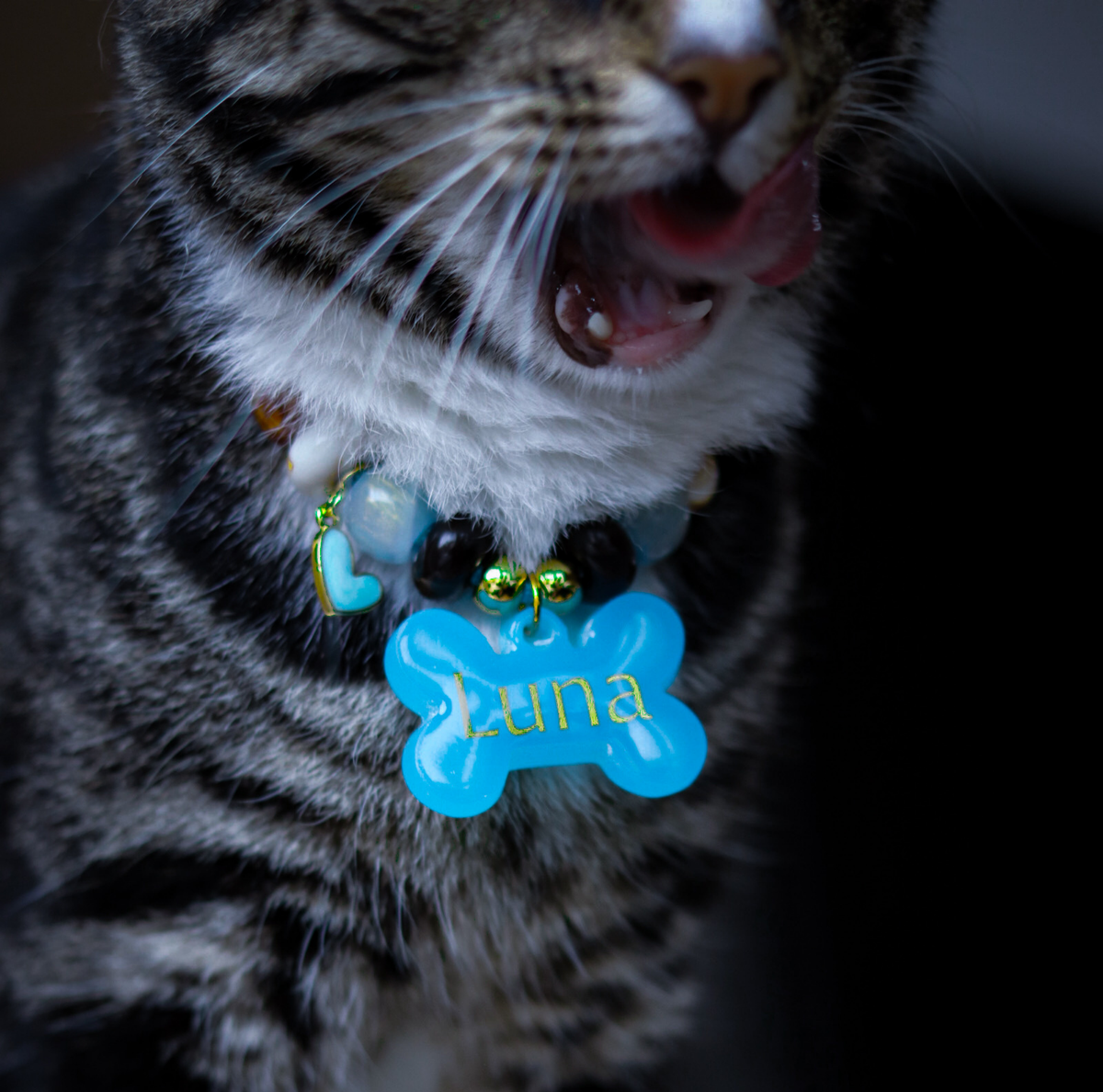 Hondenketting Oceaan blauw met kralen en penning om bij kat