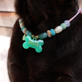 Honden en kattenketting Blossom close up bij labrador