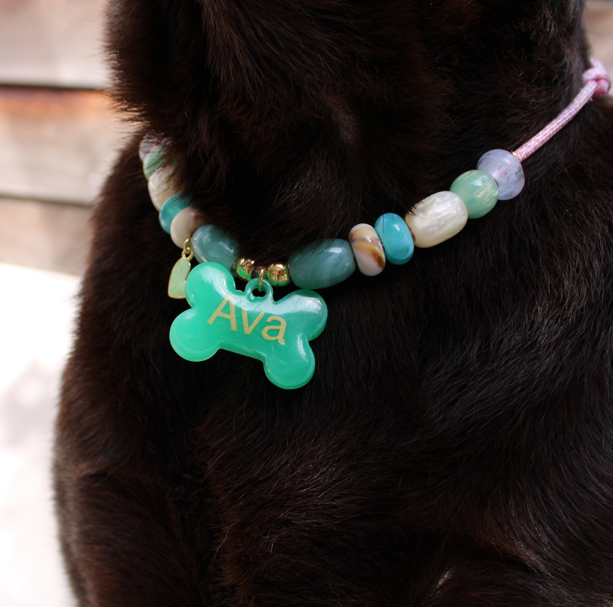 Honden en kattenketting Blossom close up bij labrador