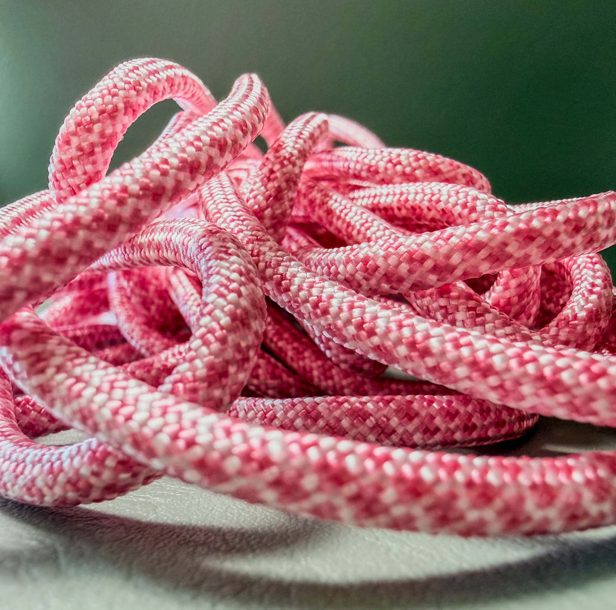 Honden en kattenketting Blossom close up touw